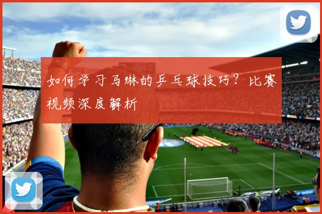 如何学习马琳的乒乓球技巧？比赛视频深度解析