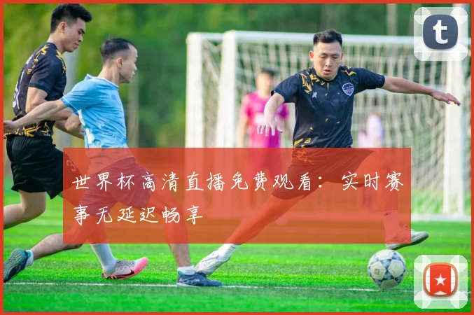 世界杯高清直播免费观看：实时赛事无延迟畅享