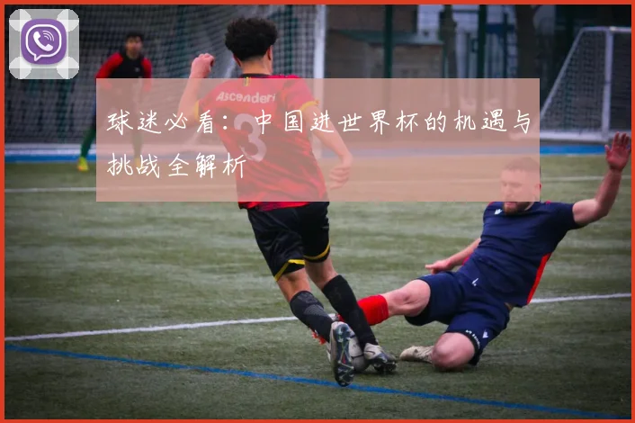 球迷必看：中国进世界杯的机遇与挑战全解析