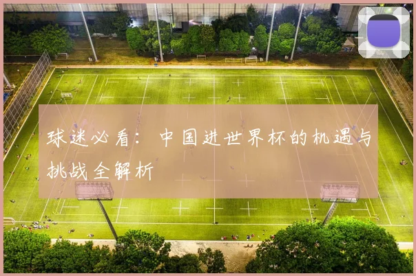 球迷必看：中国进世界杯的机遇与挑战全解析
